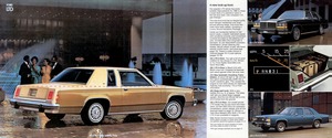 1980 Ford LTD (Rev)-06-07.jpg